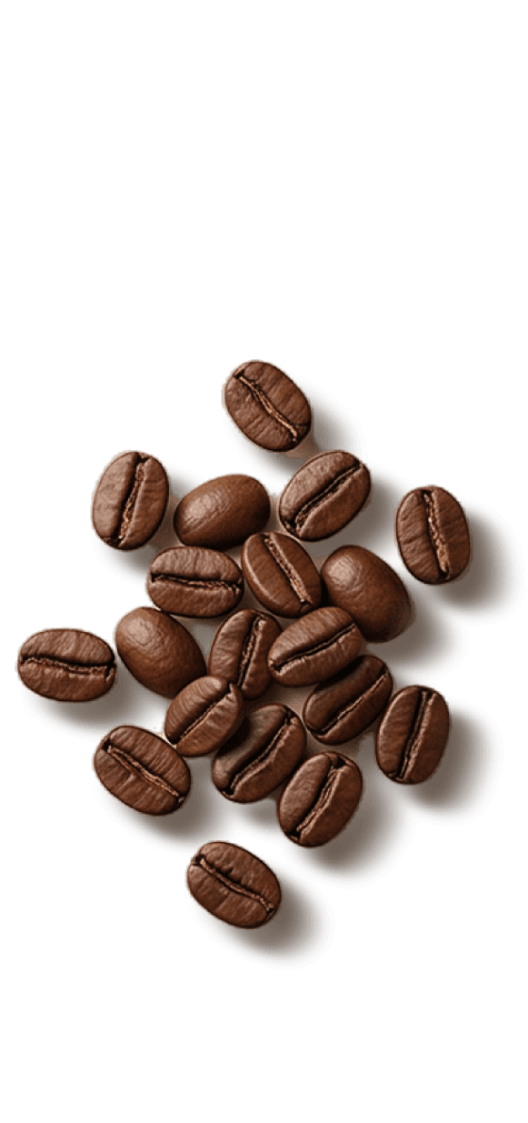 Brazilian Coffee
